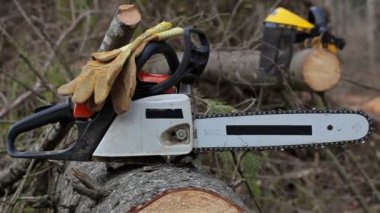 Oduncu al chainsaw ormanda