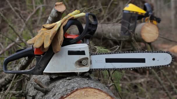 Lumberjack take chainsaw in forest — Stock Video