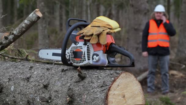 Kettingzaag met handschoenen in achtergrond houthakker praten over slimme telefoon — Stockvideo