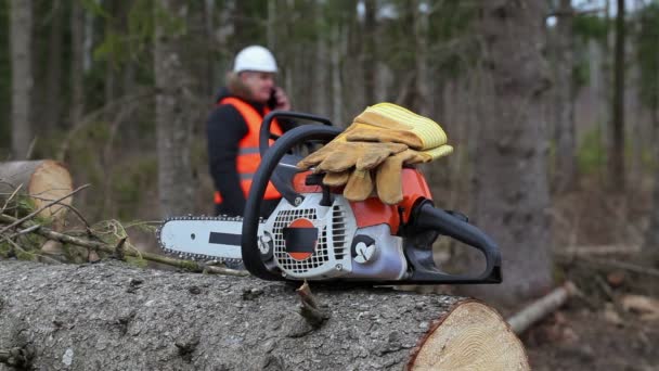 Sierra de cadena y guantes en el árbol en el bosque — Vídeo de stock