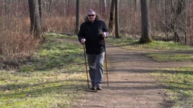Uzun yürüyüşe çıkan kimse park yolundaki akıllı telefon kullanarak baston ile 