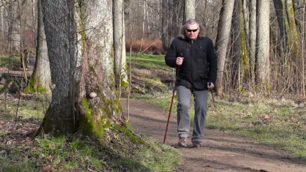 Wanderer mit Gehstöcken bekommen Schmerzen im Bein — Stockvideo