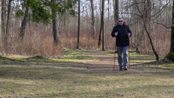 Escursionista con bastoni passeggiando nel parco — Video Stock
