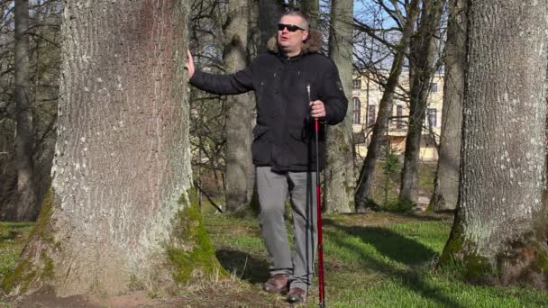 Hiker with walking sticks do exercises for legs near tree in the park — Stock Video