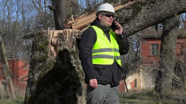 Trabajador con teléfono inteligente cerca de árbol caído — Vídeos de Stock