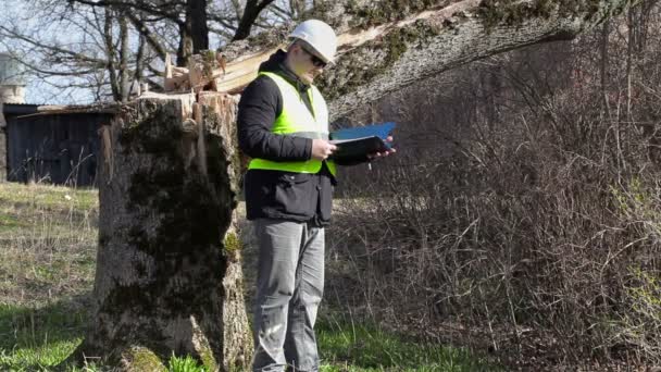 Trabajador con documentación de verificación cerca de árbol caído — Vídeos de Stock