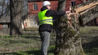 Bahçede düşmüş ağaç yakın alt kullanarak tablet Pc