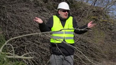 Kızgın oduncu dalları yığını konuşuyor 