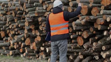 Oduncu yığını, günlüğünü yakınındaki akıllı telefon üzerinde fotoğraf çekmek