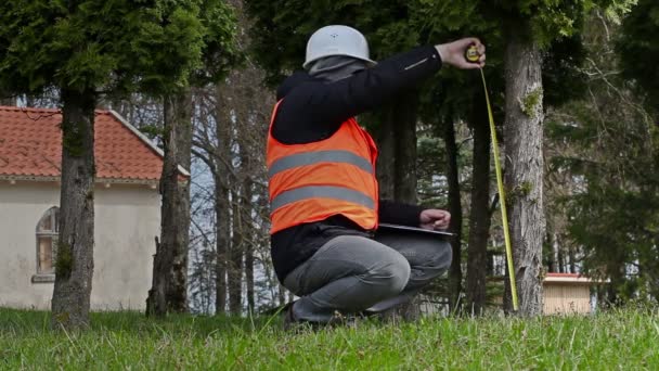 Inspecteur de bâtiment avec ruban à mesurer près de l'arbre — Video