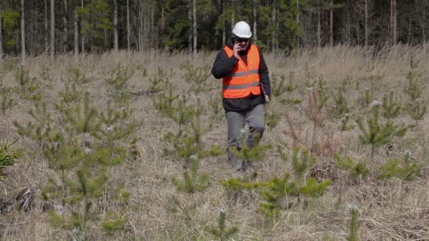 Holzfäller telefoniert auf Smartphone in der Nähe von Kiefernnachwuchs — Stockvideo