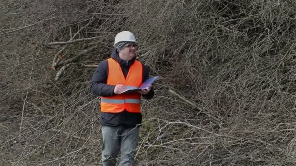 Lumberjack writing and walking near pile of branches — Stock Video