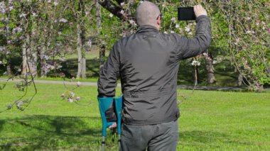 Çiçek açması elma ağacı filme koltuk değneği ile Engelli adam