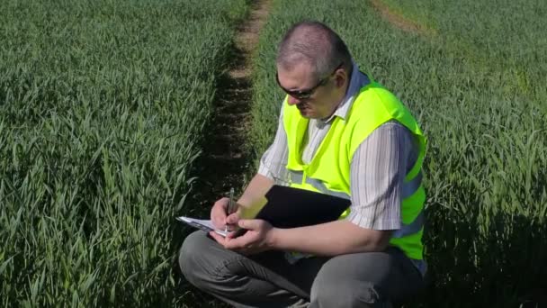 Farmer writing at the green cereal field — Stock Video