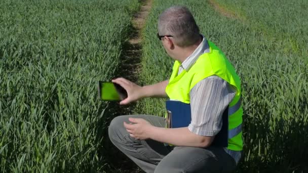 Farmář se fotit na tablet Pc na zelené obilné pole — Stock video