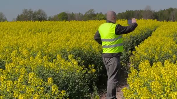 Granjero tomar fotos en el teléfono inteligente y caminar en el campo de violación — Vídeo de stock