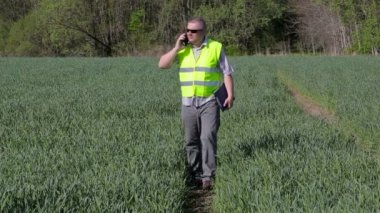 Çiftçi ile yeşil Mısır gevreği sahada yürüyüş smartphone 