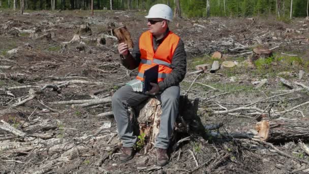 Inspector ambiental revisa pieza de madera en el bosque destruido — Vídeos de Stock
