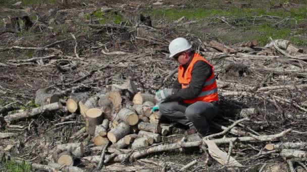 Bûcheron travaillant en forêt — Video