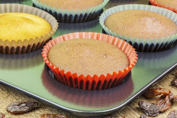 Homemade muffins with raisins on the table — Stock Photo, Image