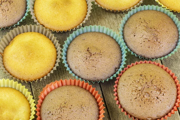 Homemade muffins in two colors on the table — Stock Photo, Image