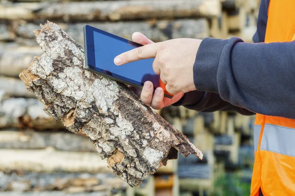 Dřevorubec pomocí počítače tablet Pc v lese — Stock fotografie