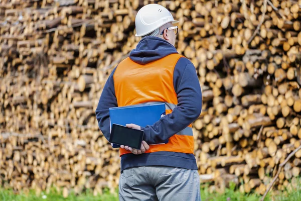 Lumberjack perto de log de pilha — Fotografia de Stock