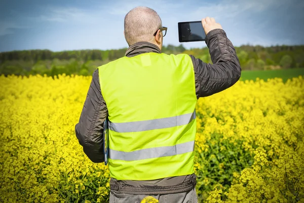 Agricultor tirar fotos no tablet PC no campo de estupro — Fotografia de Stock