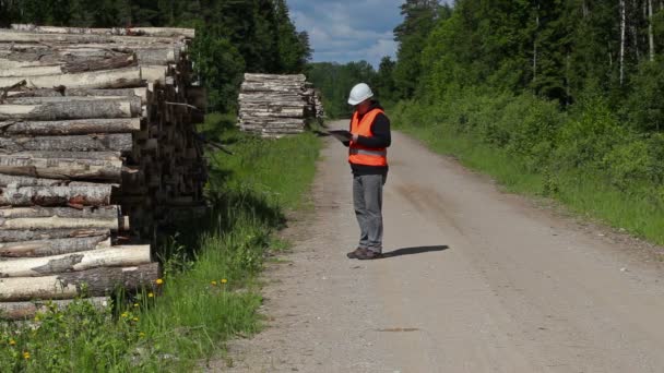 Lumberjack writing and walking near log of pile — Stock Video