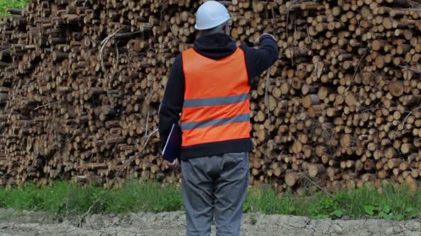 Houthakker nummering in de buurt van log van stapel — Stockvideo