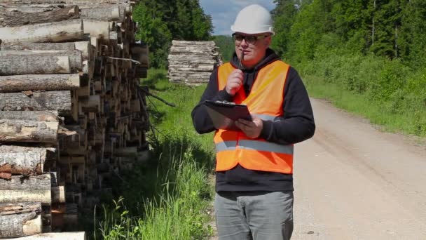 Lumberjack tener idea en el día de verano — Vídeo de stock