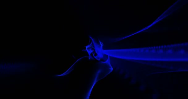 Abstracte achtergrond in blue.4k. — Stockvideo