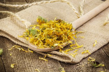 Kuru sarı calendula tablo