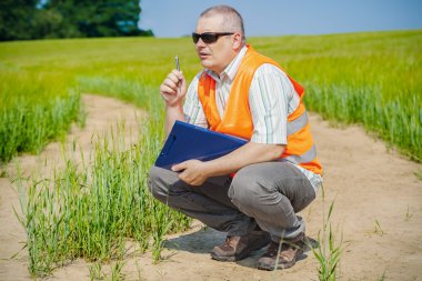Hububat sahasında çiftçi düşünüyor