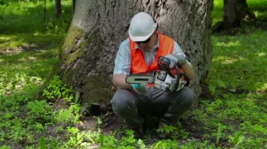 Testere tree yakınındaki kontrol oduncu 