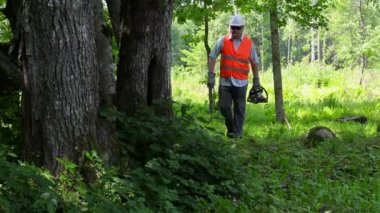 Tree yakınındaki chainsaw ile yürüme oduncu 