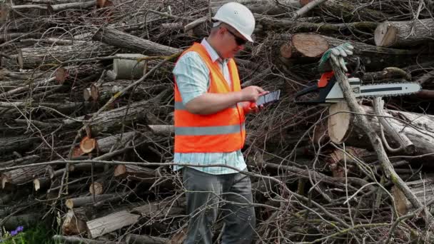 Bûcheron utilisant tablette PC à la pile de branches — Video