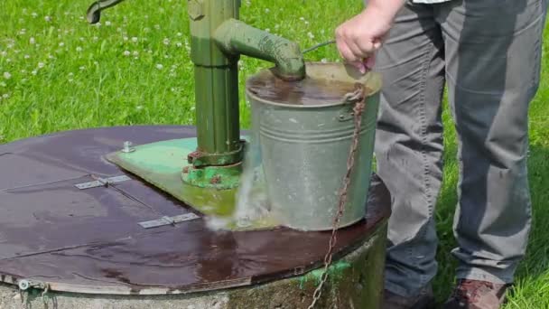 L'uomo versò acqua dal secchio — Video Stock