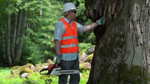 Лесоруб с бензопилой разговаривает на смартфоне возле старого дерева — стоковое видео