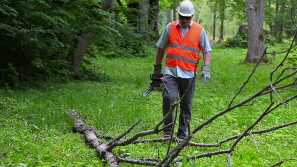 Madera con motosierra caminando cerca de una gran rama de árbol — Vídeo de stock