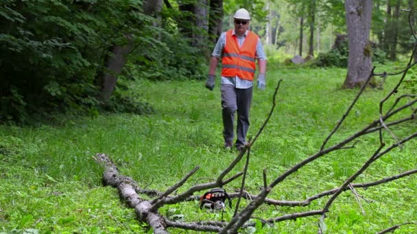 Дроворуб, намагаючись його завести бензопилу — стокове відео