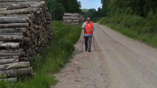 Fotvandrare gå med stavar på skogsvägen — Stockvideo