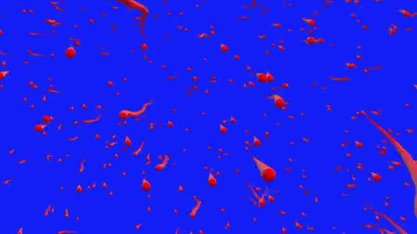 Particules abstraites en mouvement de couleur rouge sur bleu — Video