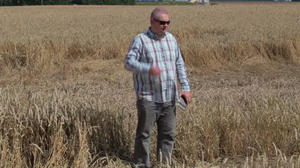 Worried farmer on destroyed cereal field — Stock Video