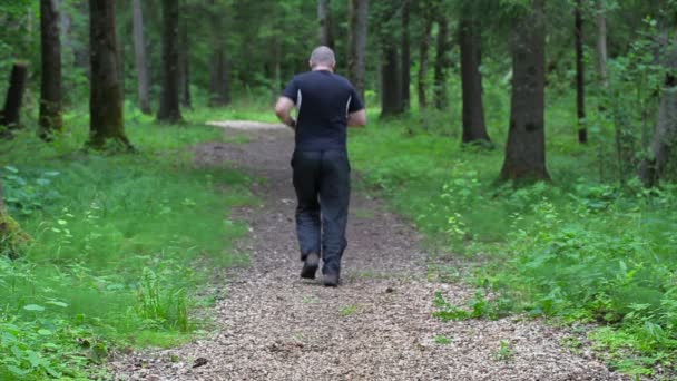 Runner on forest trail slowly run away — Stock Video