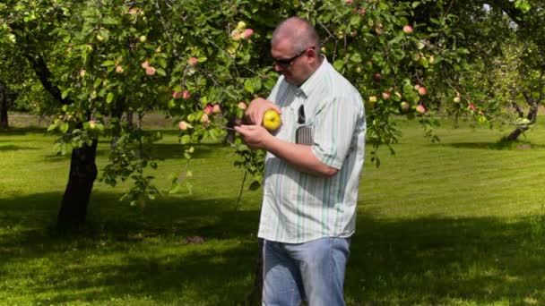 Садівник вивчити apple і пише у планшетному ПК — стокове відео