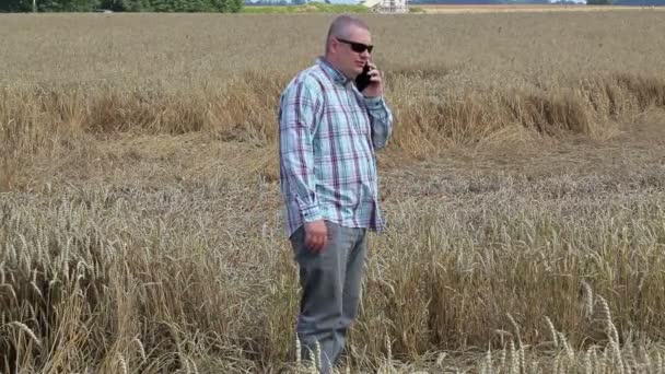 Boer praten over telefoon op vernietigde granen veld — Stockvideo