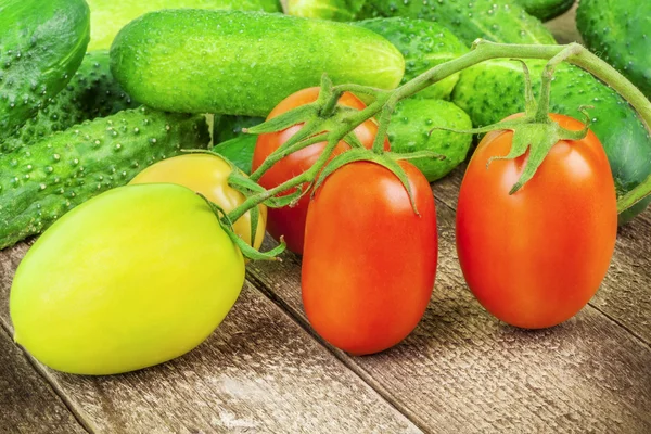 Fresh tomatoes and cucumbers from the home garden — Stock Photo, Image