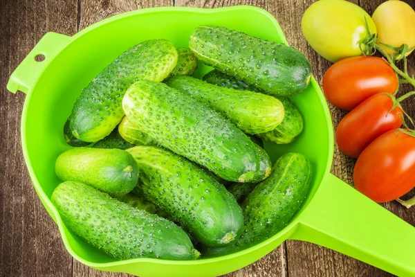 Fresh cucumbers and tomatoes from the home garden — Stock Photo, Image