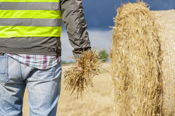 Agricultor com palha na mão perto de fardo de palha — Fotografia de Stock